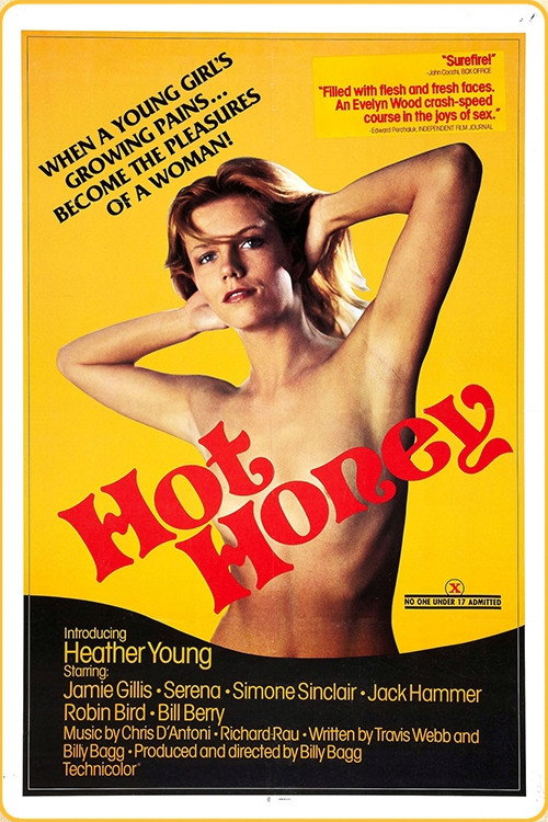 Movie poster for Hot Honey (1978)