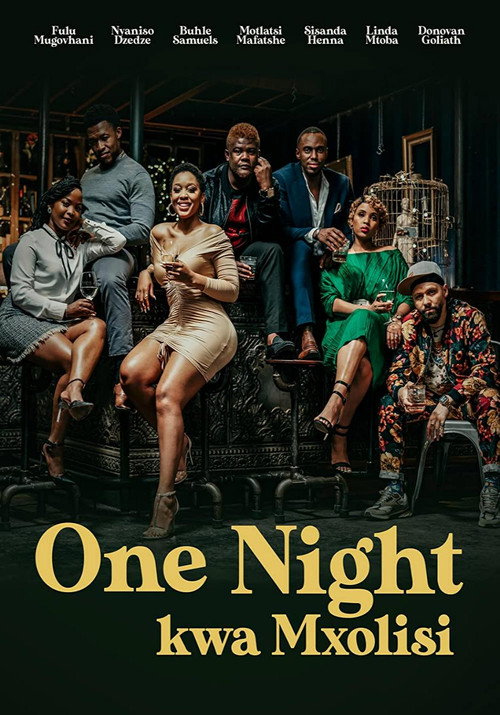Movie poster for One Night Kwa Mxolisi