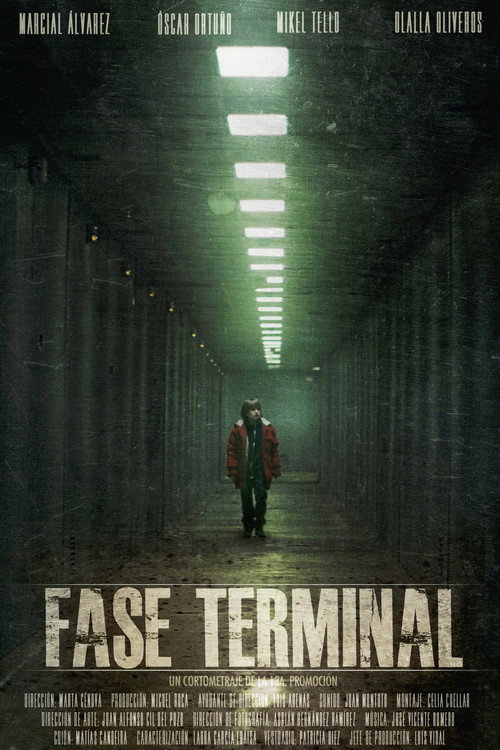 Movie poster for Terminal Phase (2011)
