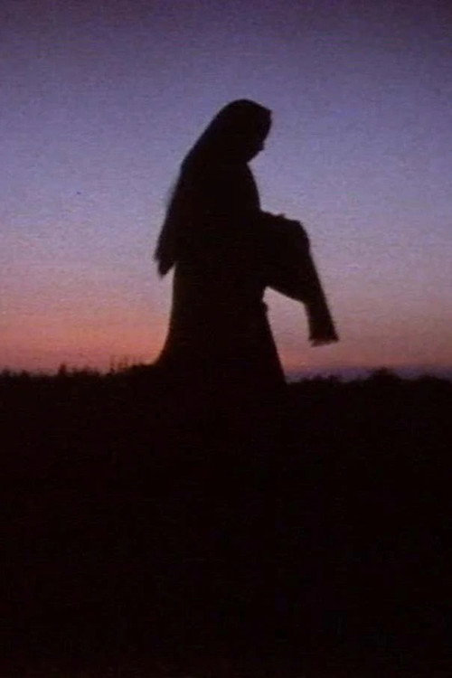 Movie poster for Women in the Shadows (1991)