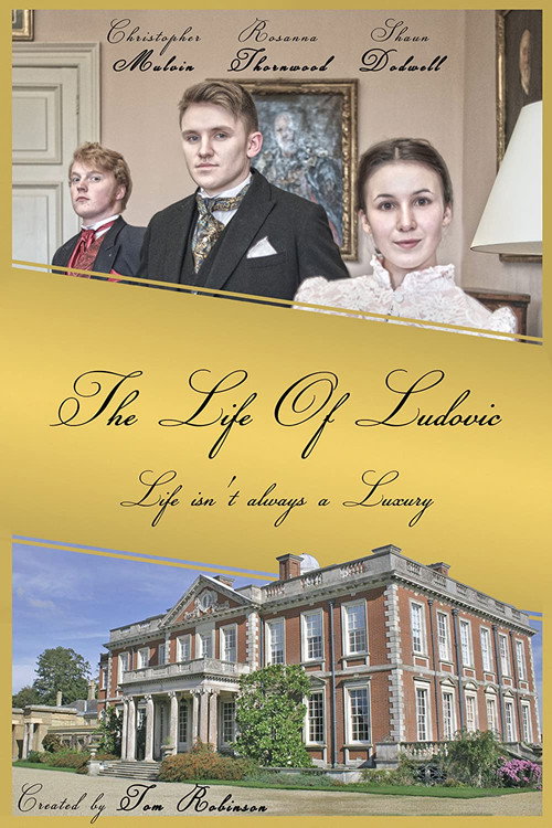 Movie poster for The Life of Ludovic (2015)