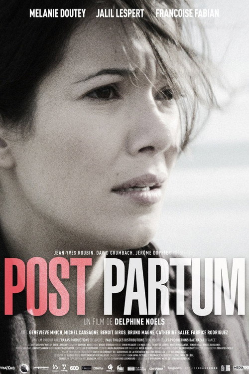 Movie poster for Post Partum (2013)
