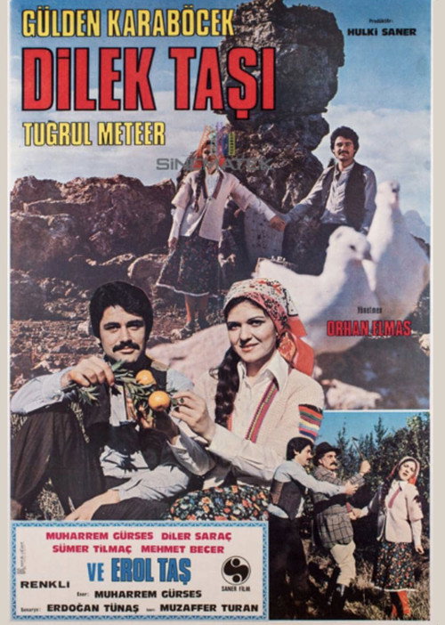 Movie poster for Dilek Taşı (1978)
