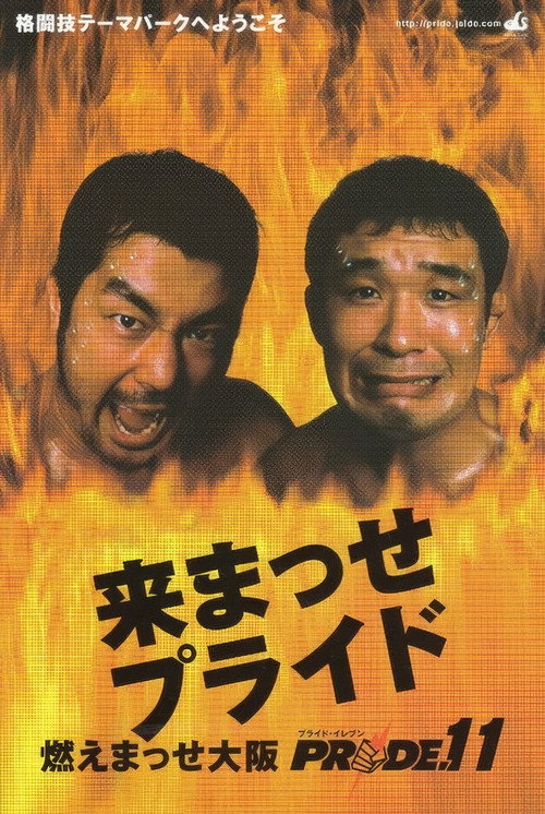 Movie poster for PRIDE 11 (2000)