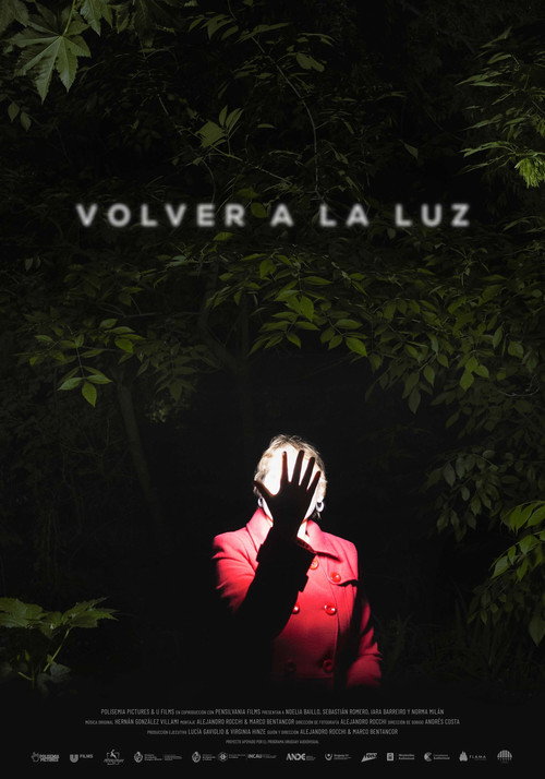 Movie poster for Back to the light (2024)