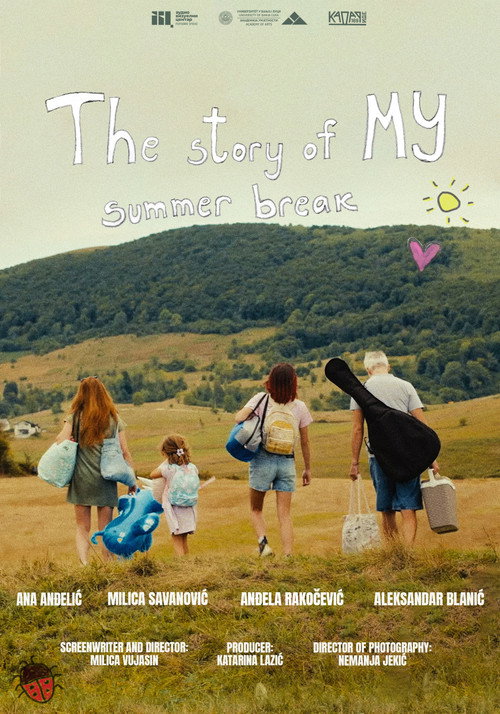 Movie poster for The Story of My Summer Break