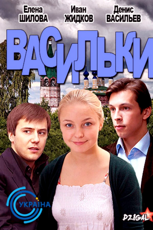 Васильки poster