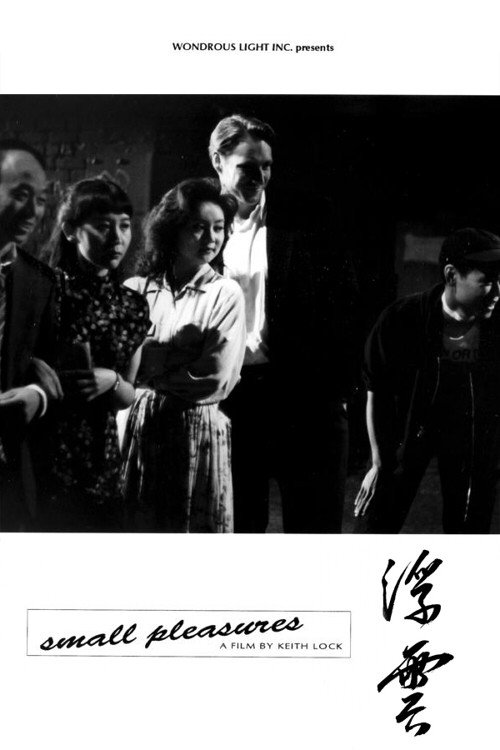 Movie poster for Small Pleasures (1993)