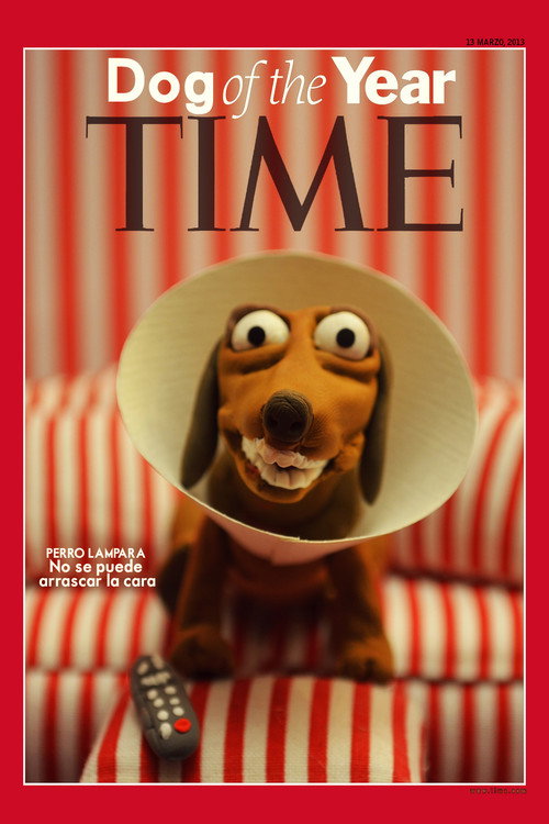 Movie poster for Perro Lámpara (2013)