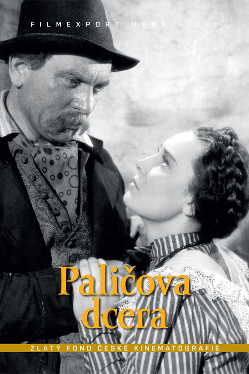 Movie poster for The Incendiary's Daughter (1941)