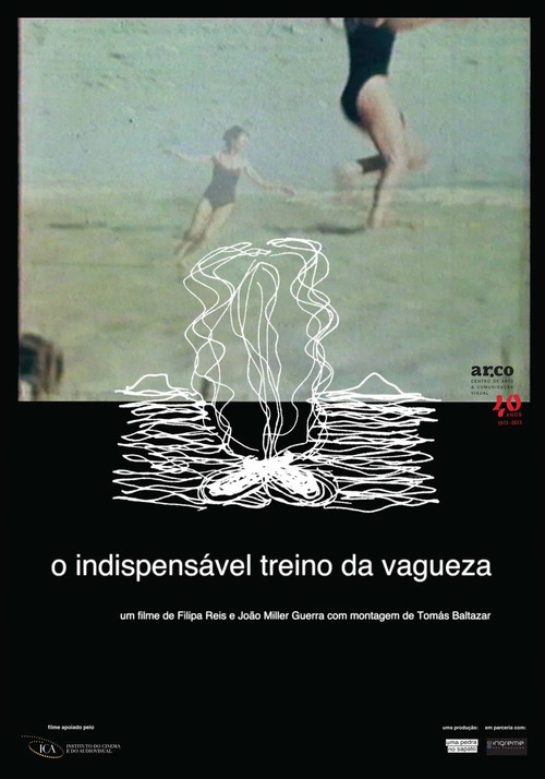 Movie poster for The Indispensable Practice of Vagueness (2014)