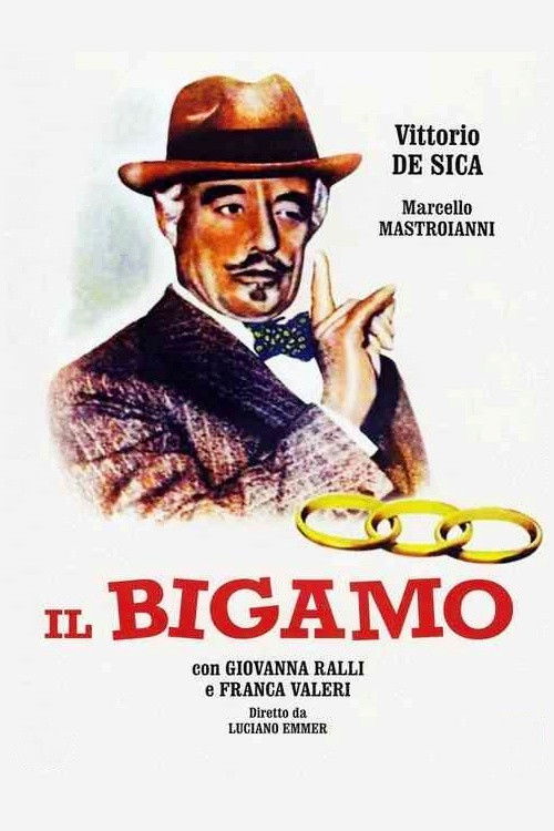 Movie poster for The Bigamist (1956)