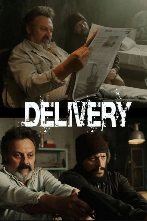 Movie poster for Delivery (2024)