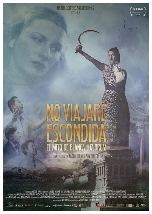 Movie poster for I will not travel hidden (2018)