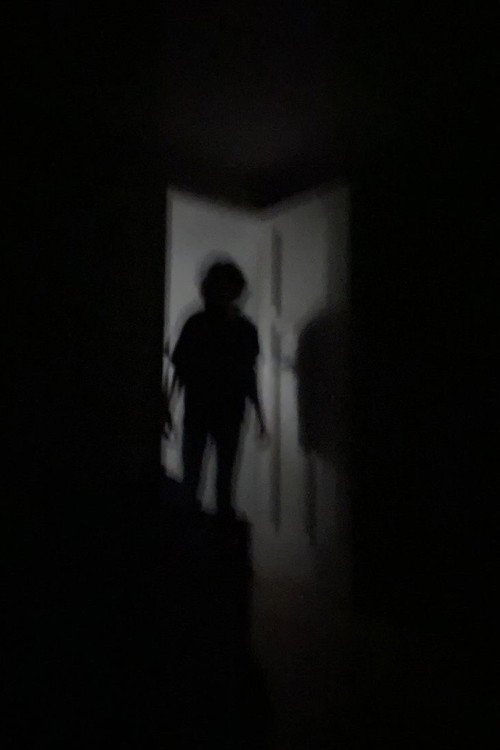 Movie poster for Mimic (2026)