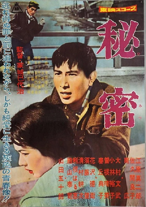Movie poster for Secret (1960)
