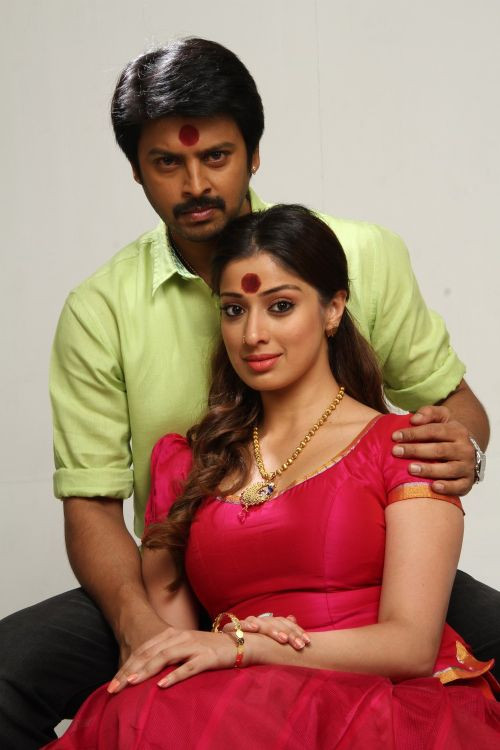 Movie poster for Sowkarpettai (2016)