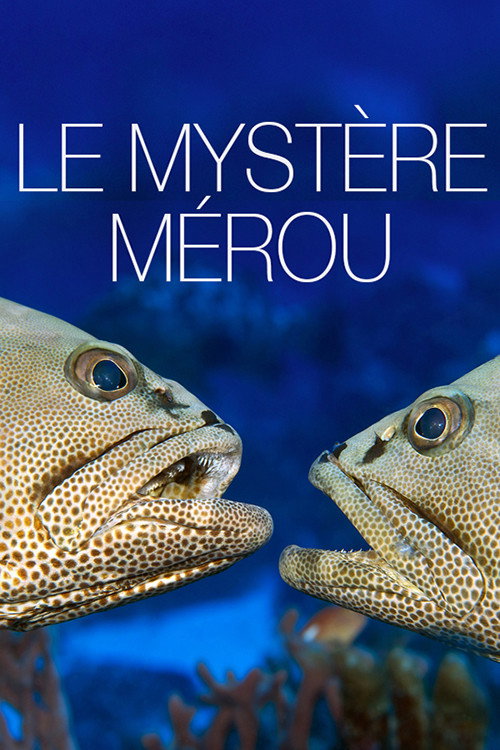 Movie poster for The Grouper Mystery (2015)