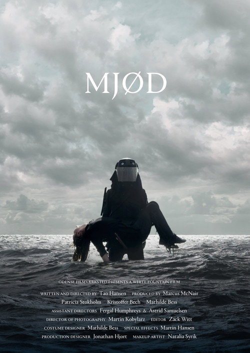 Movie poster for Mead