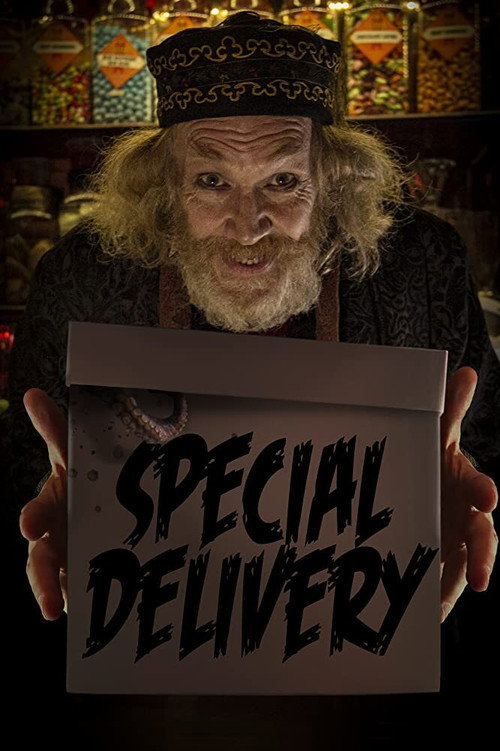 Movie poster for Special Delivery (2020)