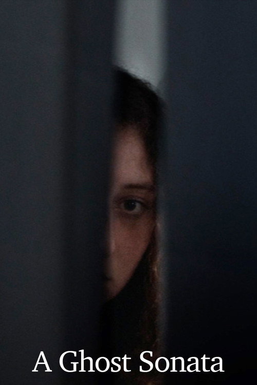 Movie poster for A Ghost Sonata (2025)