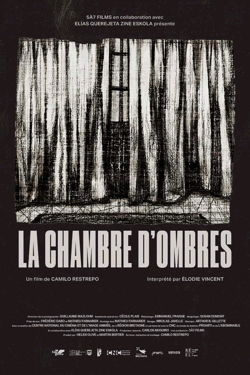 Movie poster for Room of Shadows (2024)