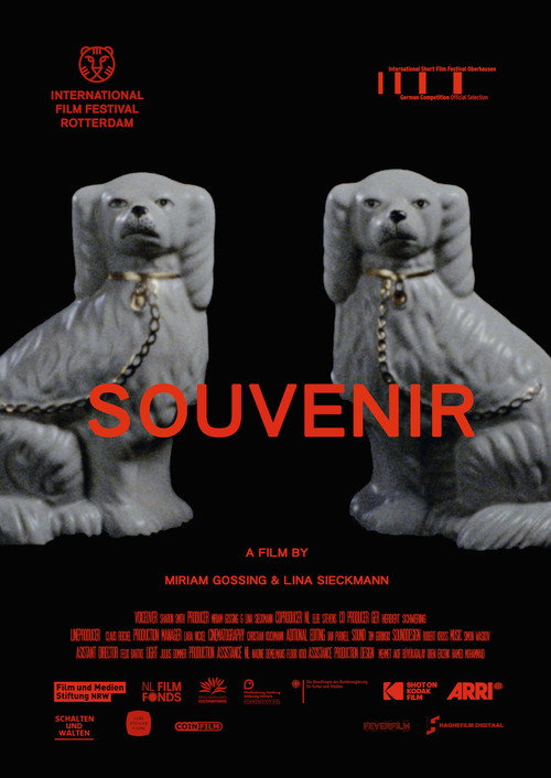 Movie poster for Souvenir (2019)