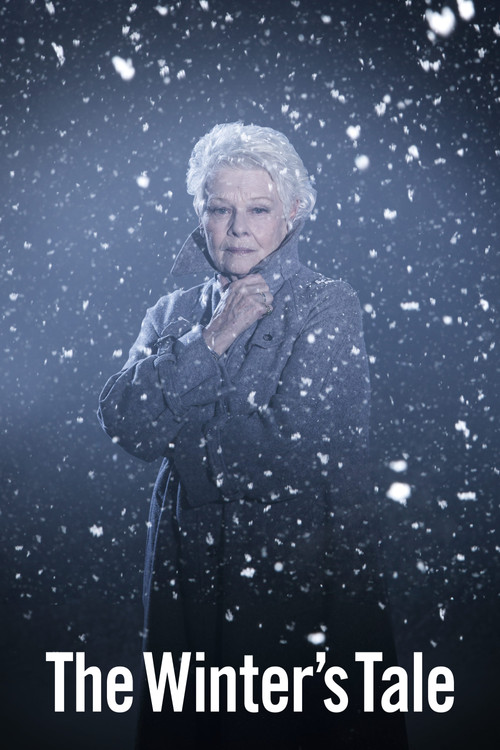 Movie poster for Branagh Theatre Live: The Winter's Tale (2015)