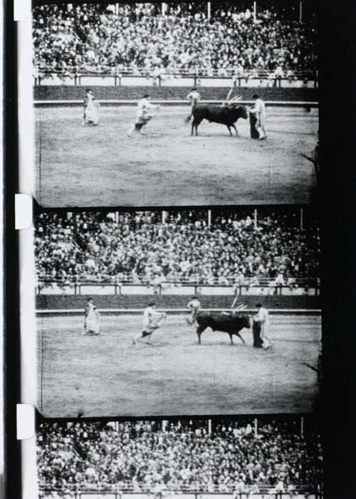 Movie poster for Corrida (1929)