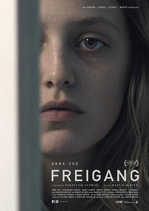 Movie poster for Freigang (2019)