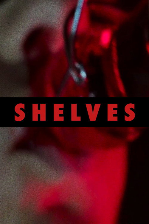 Movie poster for Shelves (2016)
