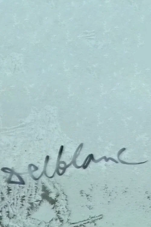 Movie poster for Delblanc (1996)