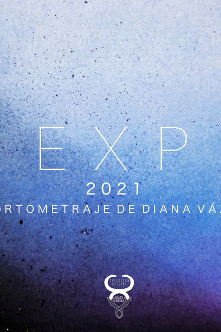 Movie poster for EXP (2021)
