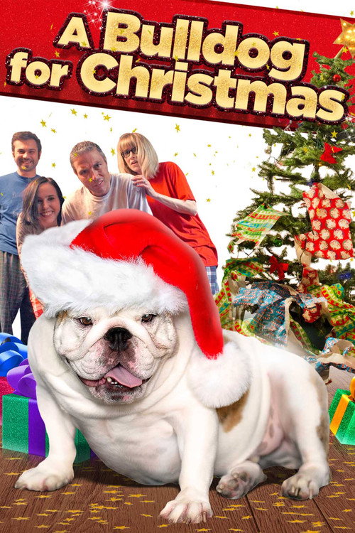 Movie poster for A Bulldog for Christmas (2013)