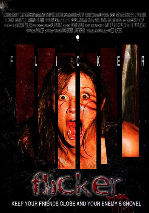 Movie poster for Flicker (2009)