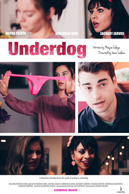 Movie poster for The Underdog (2015)