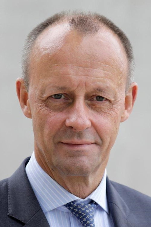 Photo of Friedrich Merz, Acting