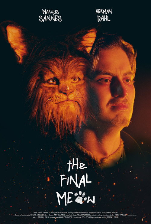 Movie poster for The Final Meow (2024)