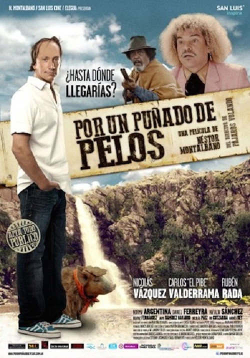 Movie poster for Por un puñado de pelos (2014)