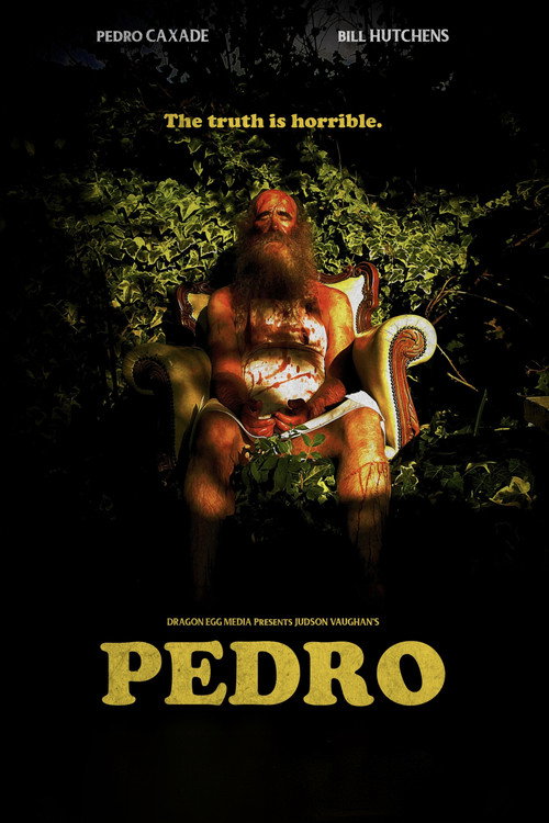 Movie poster for Pedro (2015)