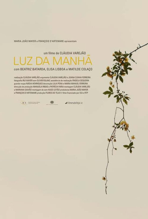 Movie poster for Luz da Manhã (2011)