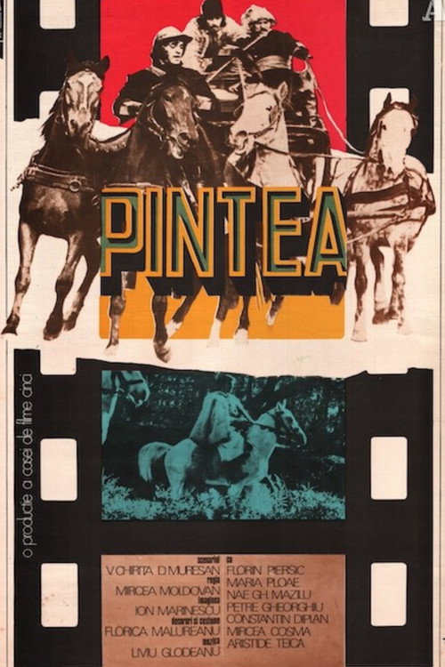 Movie poster for Pintea (1976)