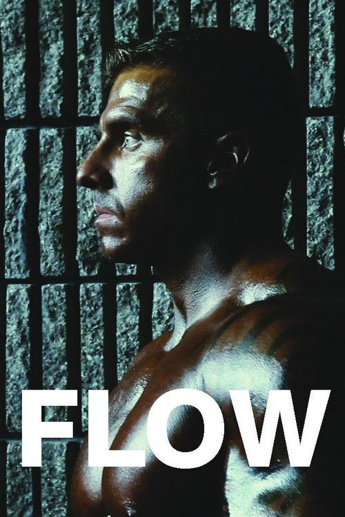 Movie poster for Flow (2012)