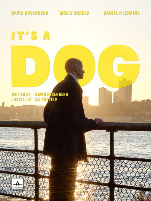 Movie poster for It's a Dog (2022)