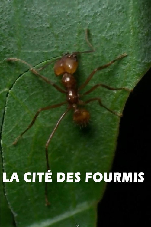Movie poster for La cité des fourmis (1999)