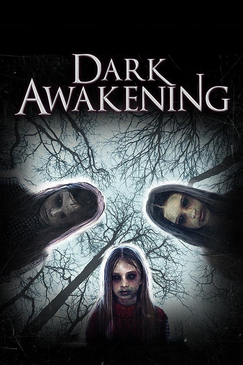 Movie poster for Dark Awakening (2014)