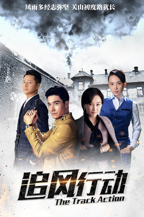 追风行动 poster