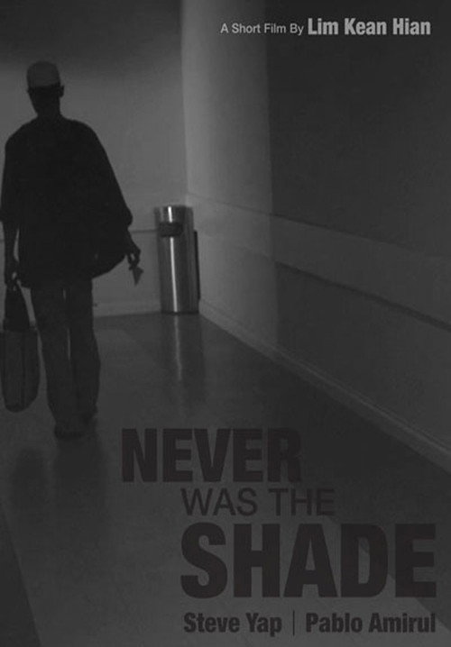 Movie poster for Never Was The Shade