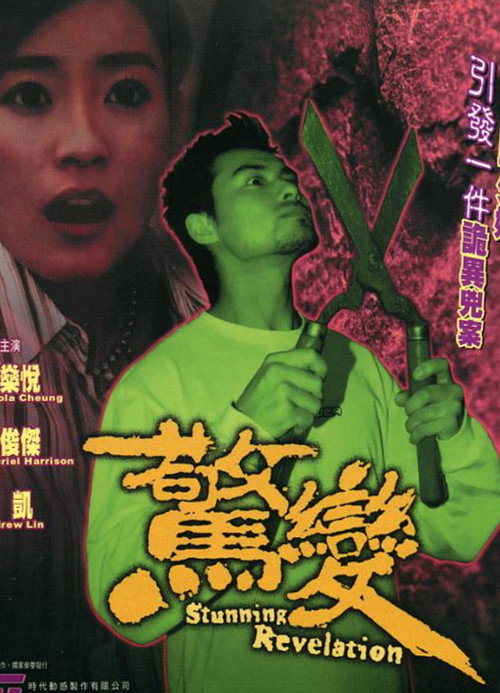 Movie poster for Stunning Revelation (2003)