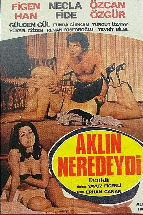 Movie poster for Aklın Neredeydi (1978)